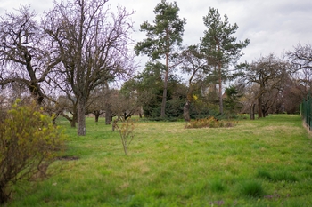 Prodej pozemku 2410 m², Brno