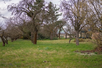 Prodej pozemku 2410 m², Brno