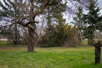 Prodej pozemku 2410 m², Brno