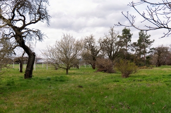 Prodej pozemku 2410 m², Brno