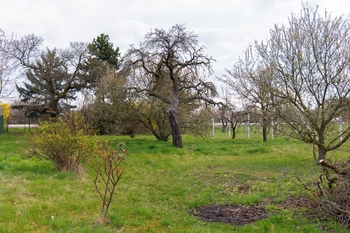 Prodej pozemku 2410 m², Brno