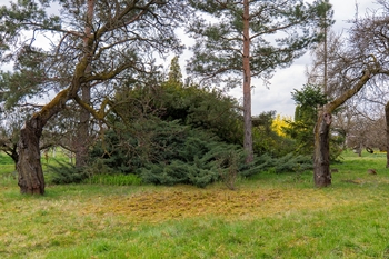 Prodej pozemku 2410 m², Brno