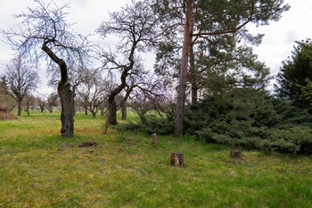 Prodej pozemku 2410 m², Brno