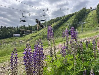 Prodej ubytovacího zařízení 400 m², Harrachov