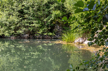 Prodej ubytovacího zařízení 371 m², Jesenný
