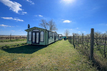 Prodej chaty / chalupy 16 m², Břeclav