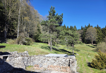 Pohled na příjezd - Prodej chaty / chalupy 54 m², Nejdek
