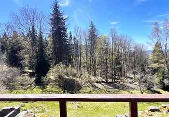 Pohled z terasy - Prodej chaty / chalupy 54 m², Nejdek