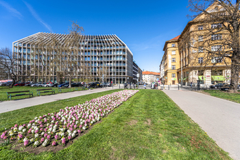 Pronájem obchodních prostor 52 m², Praha 6 - Bubeneč