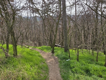 Prodej bytu 3+kk v osobním vlastnictví 62 m², Praha 4 - Modřany