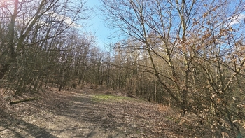 Prodej bytu 3+1 v osobním vlastnictví 72 m², Praha 4 - Braník