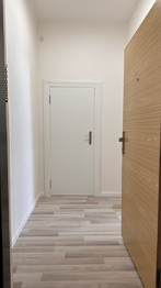 Pronájem bytu 1+1 v osobním vlastnictví 47 m², Brno