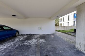 Pronájem bytu 3+kk v družstevním vlastnictví 90 m², Ostrava