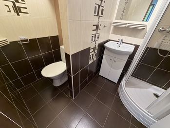 Pronájem bytu 1+1 v družstevním vlastnictví 39 m², Uherský Brod