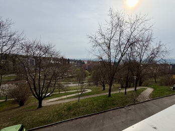 Pronájem bytu 1+1 v družstevním vlastnictví 39 m², Uherský Brod