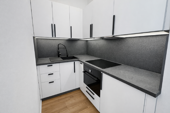 Pronájem bytu 1+kk v osobním vlastnictví 60 m², Praha 3 - Žižkov