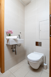 Prodej bytu 2+kk v osobním vlastnictví 55 m², Praha 3 - Žižkov