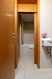 Prodej bytu 2+kk v osobním vlastnictví 55 m², Praha 3 - Žižkov