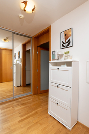 Prodej bytu 2+kk v osobním vlastnictví 55 m², Praha 3 - Žižkov