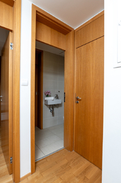 Prodej bytu 2+kk v osobním vlastnictví 55 m², Praha 3 - Žižkov