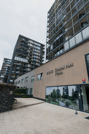 Prodej bytu 2+kk v osobním vlastnictví 55 m², Praha 3 - Žižkov