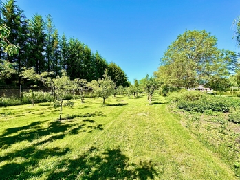 Prodej domu 460 m², Přelíc