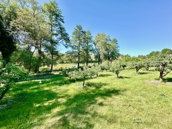 Prodej domu 460 m², Přelíc
