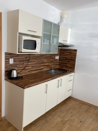 Prodej bytu 1+kk v osobním vlastnictví 38 m², Lipno nad Vltavou