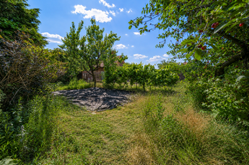 Zadní zahrada - Prodej domu 135 m², Kostice