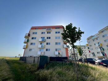 Pronájem bytu 1+kk v osobním vlastnictví 45 m², Uherské Hradiště