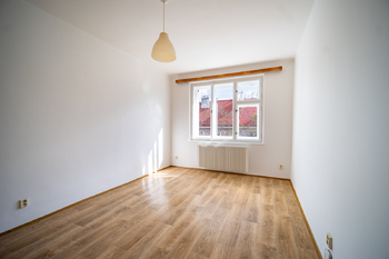 Pronájem bytu 1+kk v osobním vlastnictví 27 m², Praha 3 - Žižkov