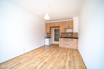 Pronájem bytu 1+kk v osobním vlastnictví 27 m², Praha 3 - Žižkov