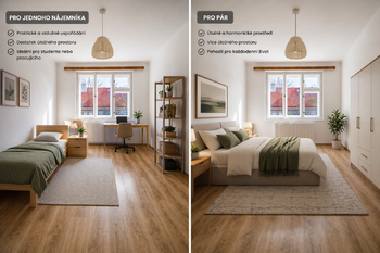 Pronájem bytu 1+kk v osobním vlastnictví 27 m², Praha 3 - Žižkov