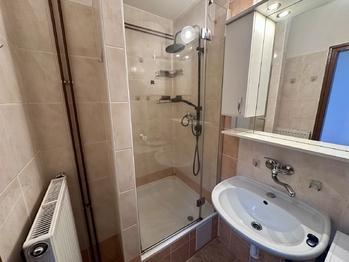 Pronájem bytu 1+1 v osobním vlastnictví 39 m², Jistebnice