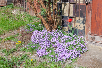 Prodej pozemku 522 m², Lom