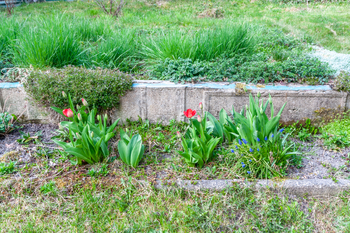 Prodej pozemku 522 m², Lom