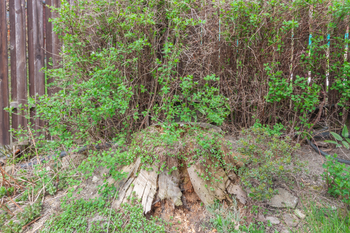 Prodej pozemku 522 m², Lom