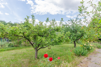 Prodej pozemku 522 m², Lom