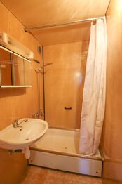 koupelna - Pronájem bytu 2+kk v družstevním vlastnictví 42 m², České Budějovice