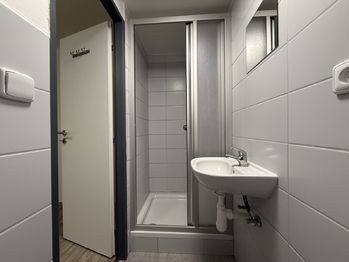 Pronájem bytu 1+kk v osobním vlastnictví 15 m², Přeštice