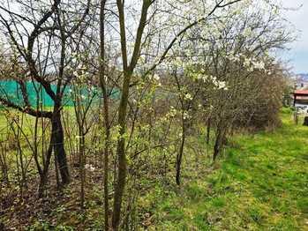 Prodej pozemku 433 m², Brno