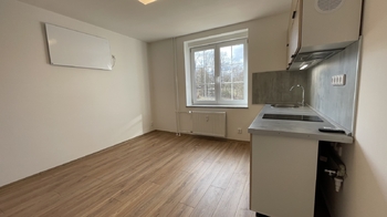 Pronájem bytu 1+kk v osobním vlastnictví 24 m², Libavské Údolí
