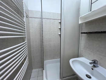 Prodej bytu 1+1 v osobním vlastnictví 40 m², Kozolupy