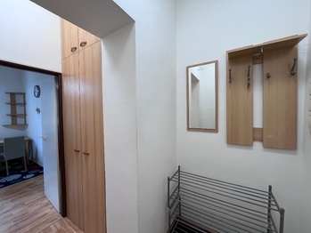 Prodej bytu 1+1 v osobním vlastnictví 40 m², Kozolupy