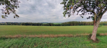 Prodej pozemku 22505 m², Úmonín