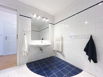 Pronájem bytu 3+kk v osobním vlastnictví 101 m², Praha 7 - Holešovice