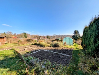Pronájem pozemku 247 m², Havlíčkův Brod