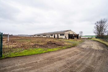 Prodej pozemku 9053 m², Přelouč