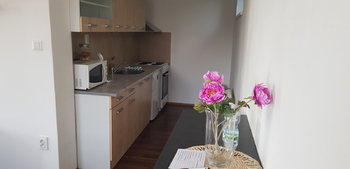 Pronájem bytu 1+kk v osobním vlastnictví 48 m², Hradec Králové