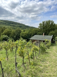 Prodej chaty / chalupy 64 m², Pincehely